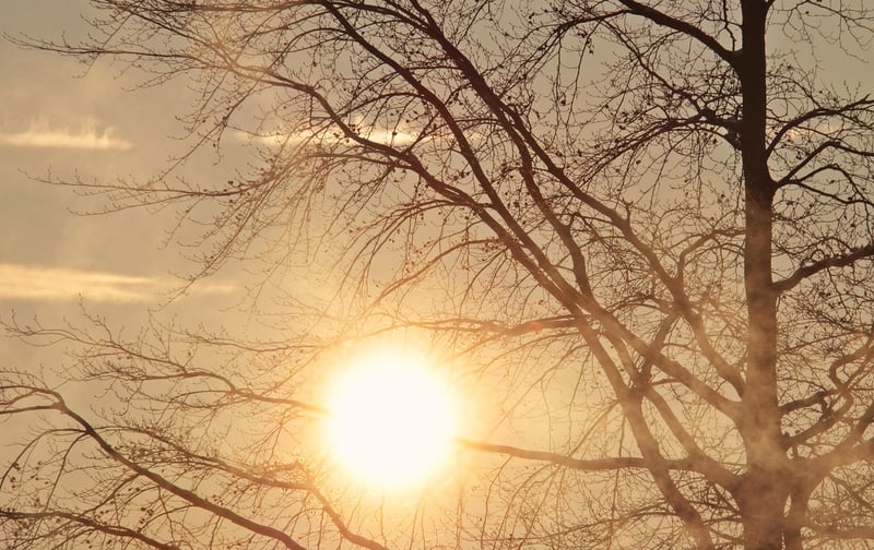 Meditation at Sunrise